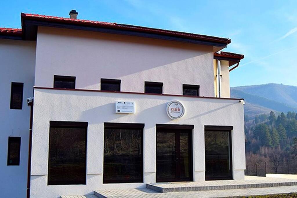 Pensiunea Cuib Cisnadioara Exterior photo